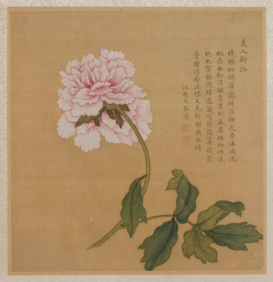 Obra en el Shenzhen Museum
