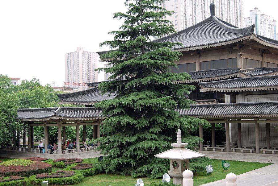 Entrada del Shaanxi History Museum